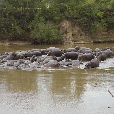 Ngerende Island Lodge (Adults Only) Maasai Mara Zewnętrze zdjęcie